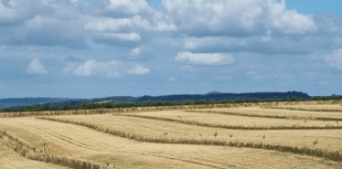 Radnorshire Wildlife Trust offering bespoke farm and land advice