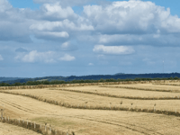 Radnorshire Wildlife Trust offering bespoke farm and land advice