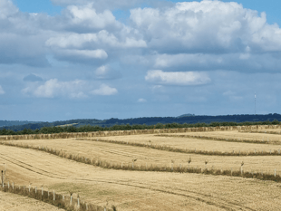 Radnorshire Wildlife Trust offering bespoke farm and land advice