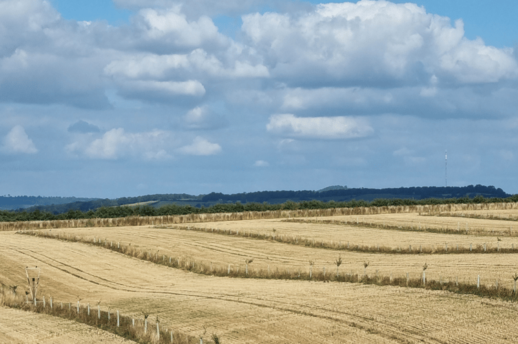 Radnorshire Wildlife Trust have announced their desire to support local farmers and landowners to future-proof their land. 