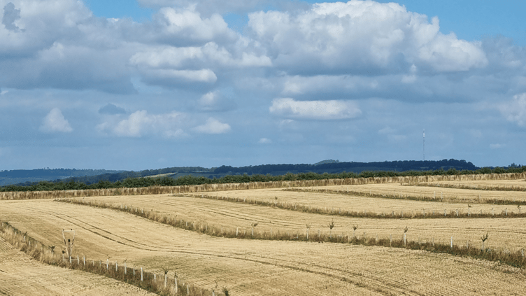Radnorshire Wildlife Trust have announced their desire to support local farmers and landowners to future-proof their land.
