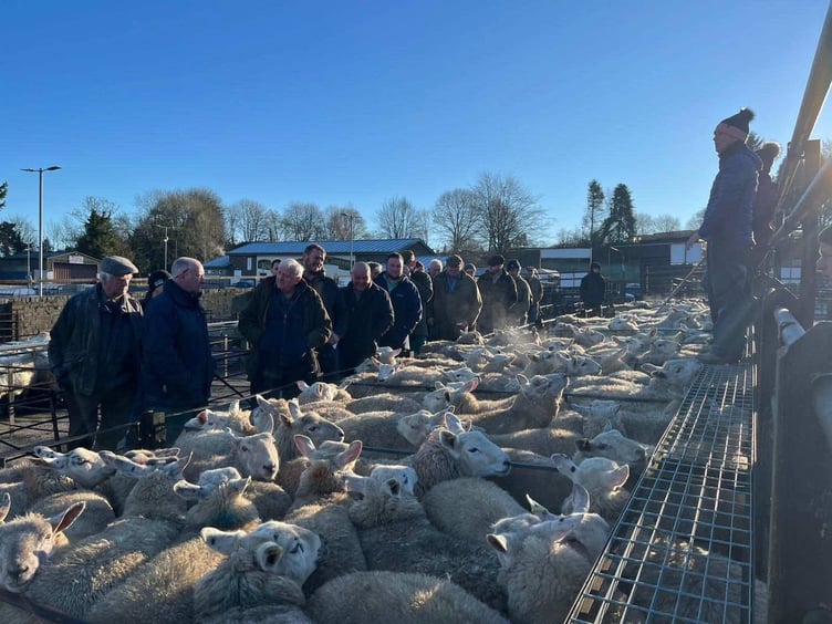 Traders at Knighton Market