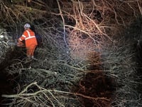 £1 million plan to manage rail vegetation