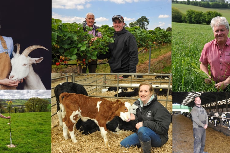 Farmers in Wales are invited to apply for the Farming Connect Try Out Fund