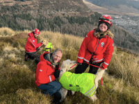 Central Beacons Team rescues stranded dogs, Dougal and Nellie