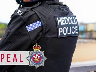 Police appeal for information on theft of two quad bikes