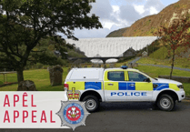 Police appeal for information as dog attacks cyclist near Brecon