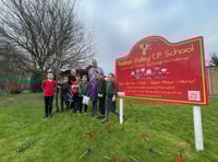 Radnor Valley pupils lead charge in battery recycling competition