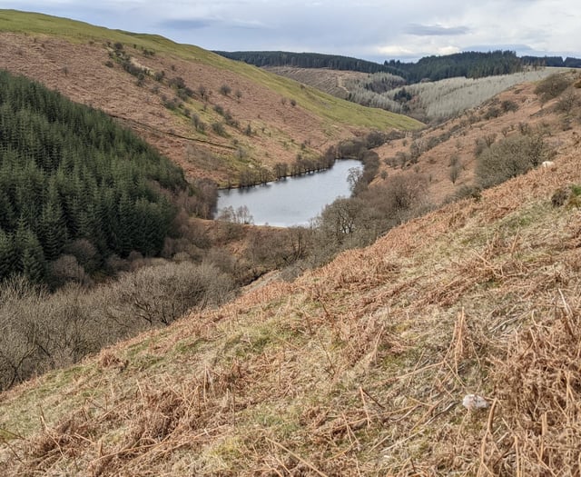 Residents aim to restore river's freshwater habitats