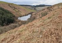 Locals grow wetland plants to restore River Irfon catchment’s freshwater habitats
