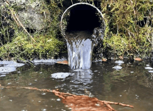 Friends of the Earth Cymru publish new environmental data