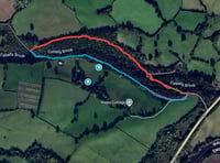 Offa’s Dyke Path section to close for forestry works