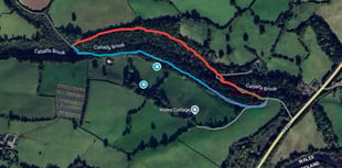 Offa’s Dyke Path section to close for forestry works