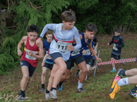 Young cross-country runners shine at Brecon meet