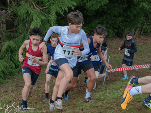 Young cross-country runners shine at Brecon meet