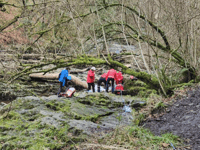 Walker suffers injury after slipping on rocks