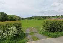 Plans for solar farm approved despite overwhelming objections