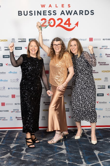 Machynlleth's Dulas Ltd won SME Exporter of the Year in 2024