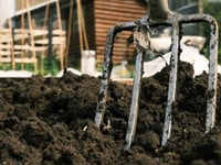 Allotments up for grabs in Llandrindod 