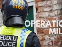 Cannabis worth over £860,000 seized during police crackdown