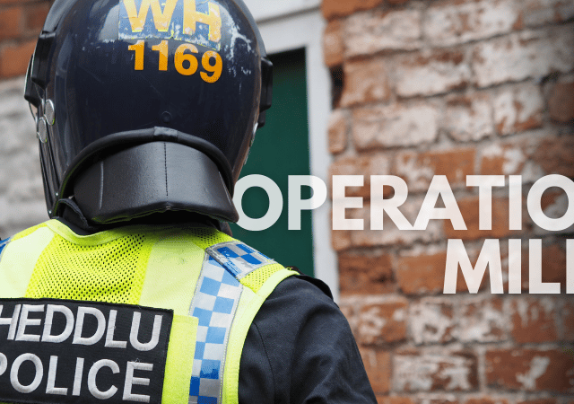Cannabis worth over £860,000 seized during police crackdown