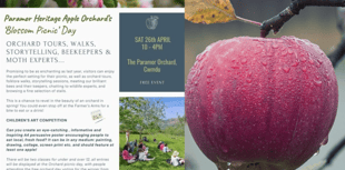Discover the lost apples of Paramor Orchard 