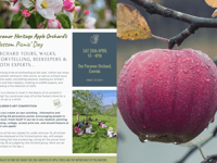 Discover the lost apples of Paramor Orchard 