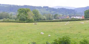 Plans approved for 96 homes in Llanidloes