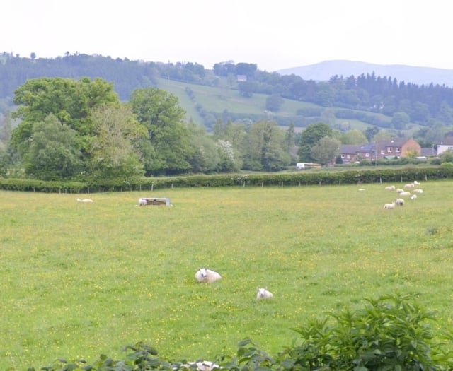 Plans approved for 96 homes in Llanidloes
