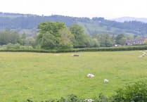 Plans approved for 96 homes in Llanidloes
