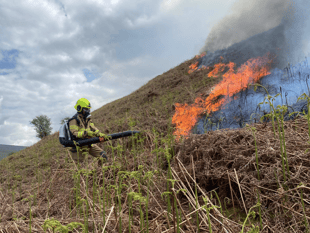 Cwmdu grass fire destroys 300 x 500 metre grassland area