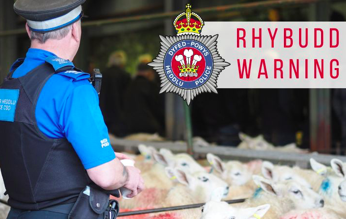 Dyfed-Powys Police