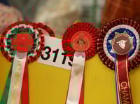 Royal Welsh Spring Festival entries deadline approaches