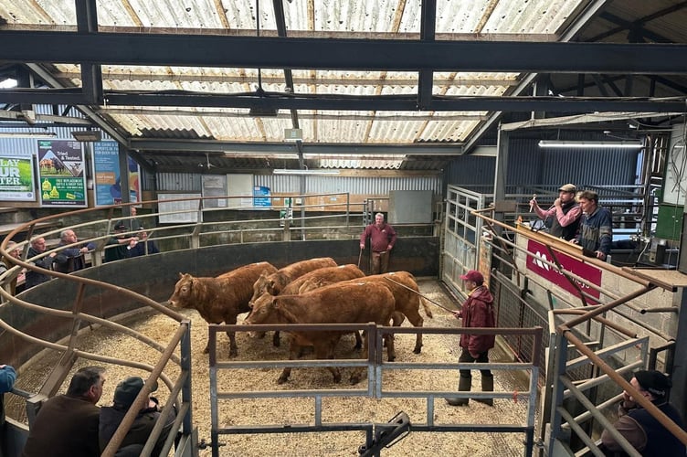 A bustling auction took place at Knighton Market last month