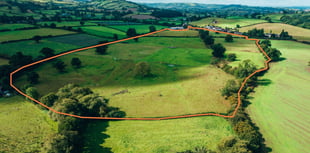 Council row erupts over new farms project