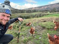 Dan Lydiate’s egg business gets boost from Powys grant