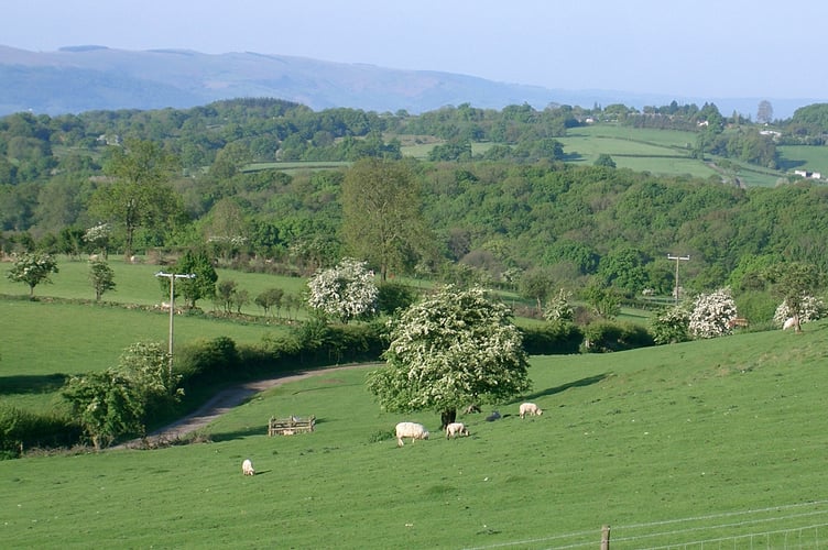 The view from Granary Cottage.