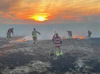 Fire service responds to 250 grass fires in past fortnight