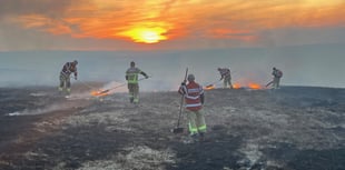 Fire service responds to 250 grass fires in past fortnight