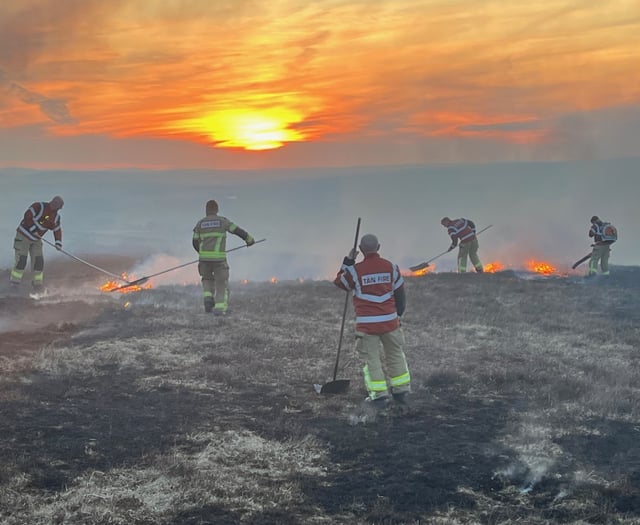 Fire service responds to 250 grass fires in past fortnight