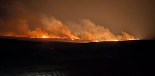 Wildfire burns across 23 hectares on edge of national park