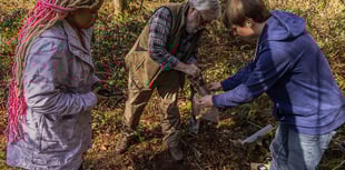 Historic park faces modern climate challenges