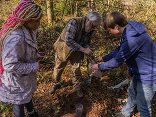 Historic park faces modern climate challenges