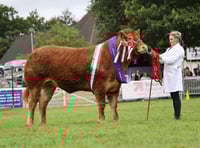 Royal Welsh Show 2025 schedules now live online