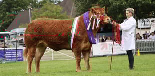 Royal Welsh Show 2025 schedules now live online