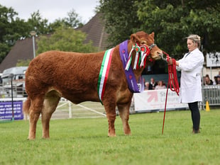 Royal Welsh Show 2025 schedules now live online