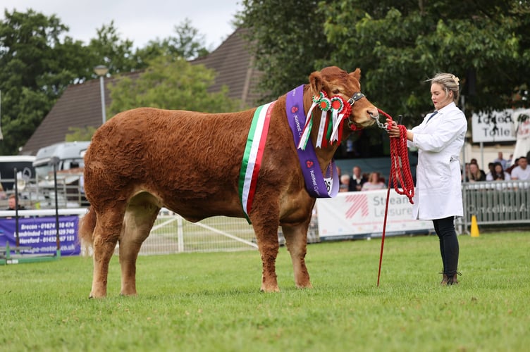 Royal Welsh Show 2024