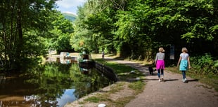 We must keep the canal alive’: Charity calls for public support
