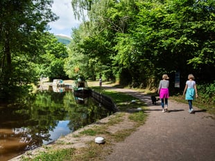 We must keep the canal alive’: Charity calls for public support