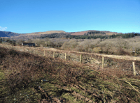 Farmers lay 3,600 metres of hedgerow in the national park